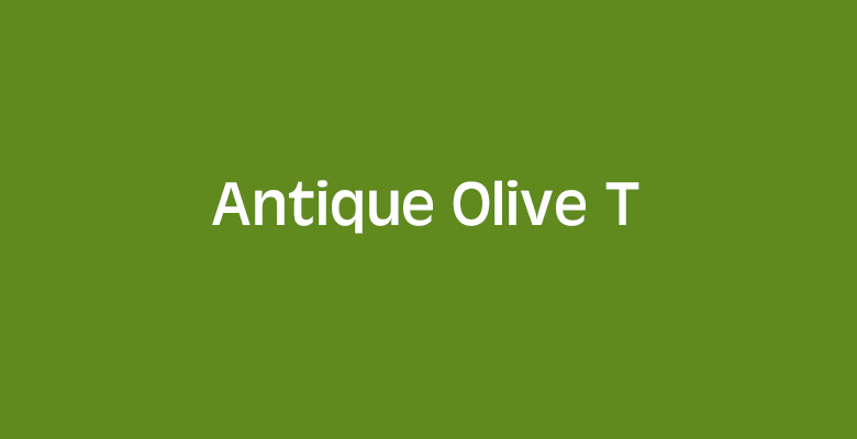 http://www.webink.com/font/antique-olive-t